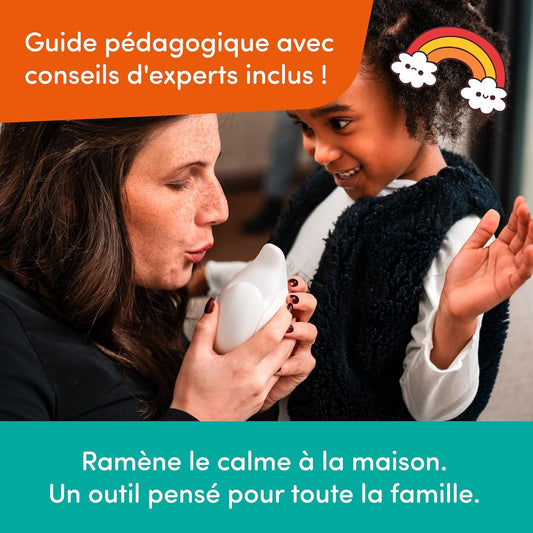 Compagnon des Émotions Les Moodies Calmy | NATHAN Nathan